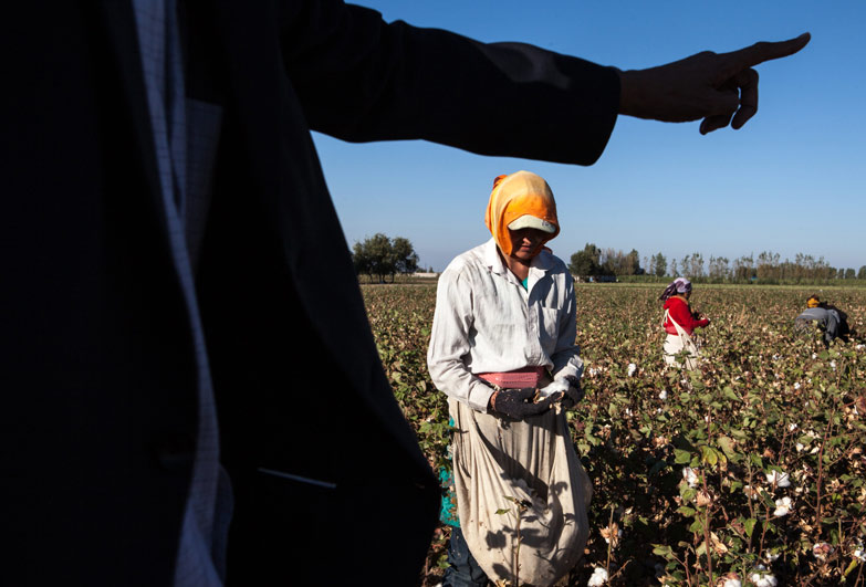 Uzbekistan - forced labour - Photo Anti-Slavery International